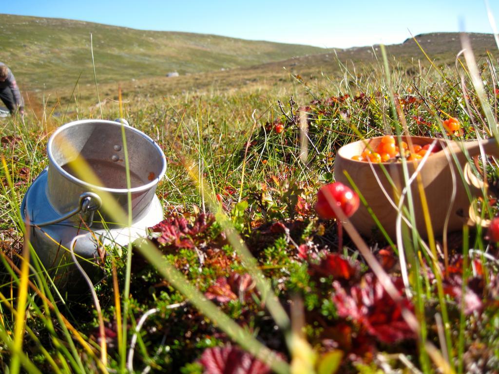Norefjell - Storhytte Med Jacuzzi Og Fantastisk Beliggenhet Noresund 외부 사진