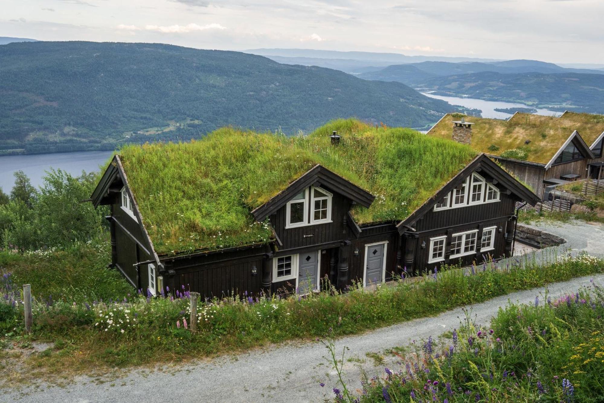 Norefjell - Storhytte Med Jacuzzi Og Fantastisk Beliggenhet Noresund 외부 사진